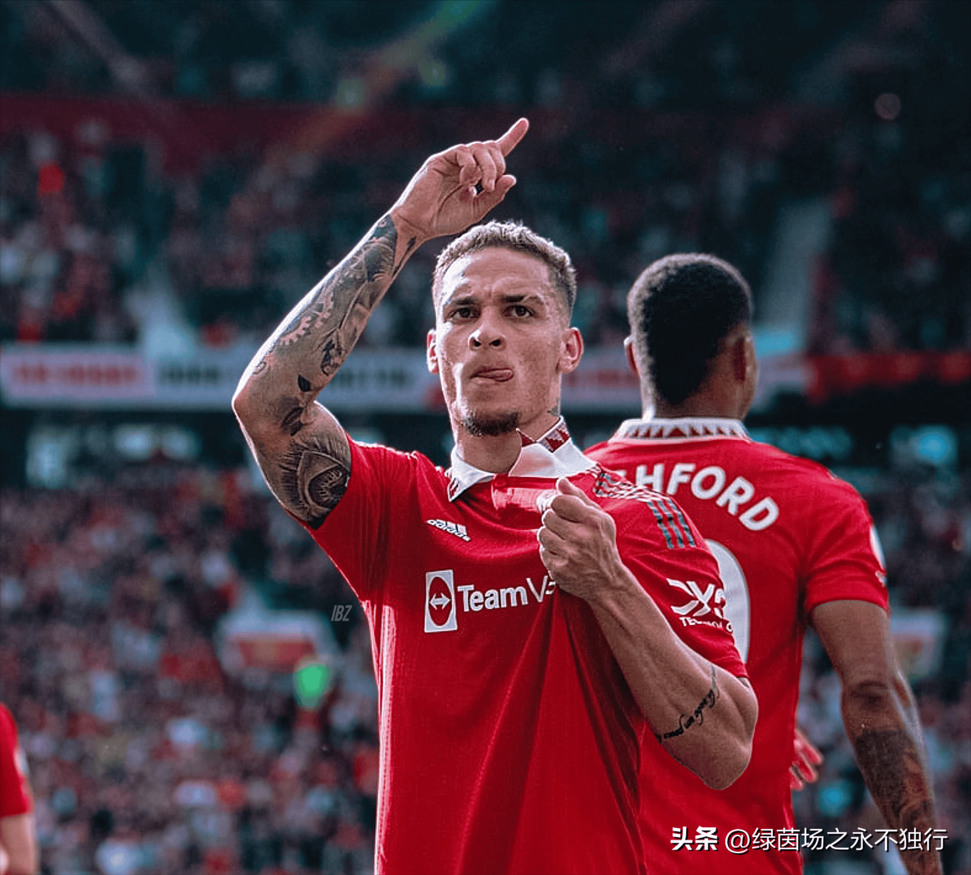 开云-纽卡斯尔主场不败率达7成